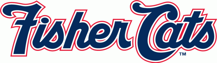 new hampshire fisher cats 2008-2010 wordmark logo v2 iron on heat transfer